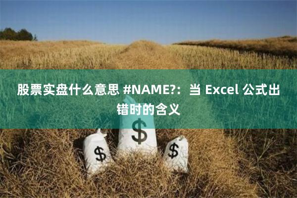 股票实盘什么意思 #NAME?：当 Excel 公式出错时的含义